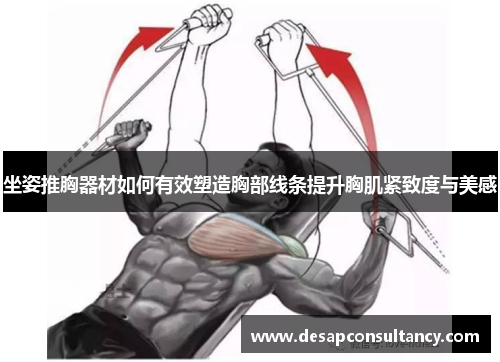 坐姿推胸器材如何有效塑造胸部线条提升胸肌紧致度与美感
