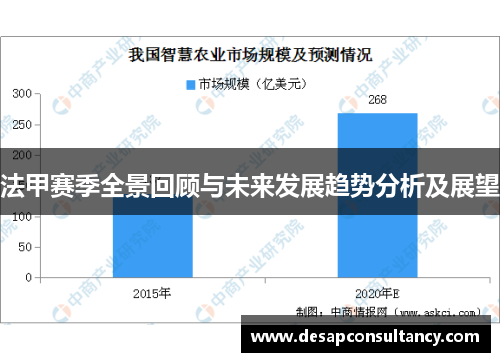 法甲赛季全景回顾与未来发展趋势分析及展望