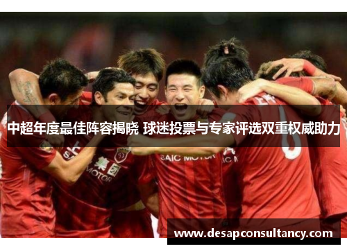 中超年度最佳阵容揭晓 球迷投票与专家评选双重权威助力